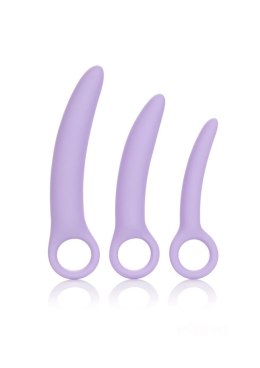 Calexotics Alena Set of 3 Dilators Purple