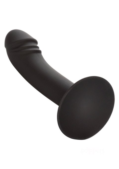 Calexotics Curved Anal Stud Black