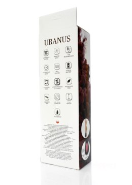 B - Series Weather Wibrator-URANUS-USB-12function,up&down vibrator