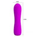 Pretty Love PRETTY LOVE -BEAU, 12 vibration functions Memory function