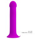 Pretty Love PRETTY LOVE - Murray PURPLE, 12 vibration functions 12 pulse wave settings Suction base