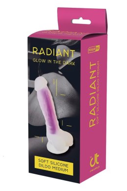 Dream Toys RADIANT SOFT SILICONE GLOW IN THE DARK DILDO MEDIUM PURPLE