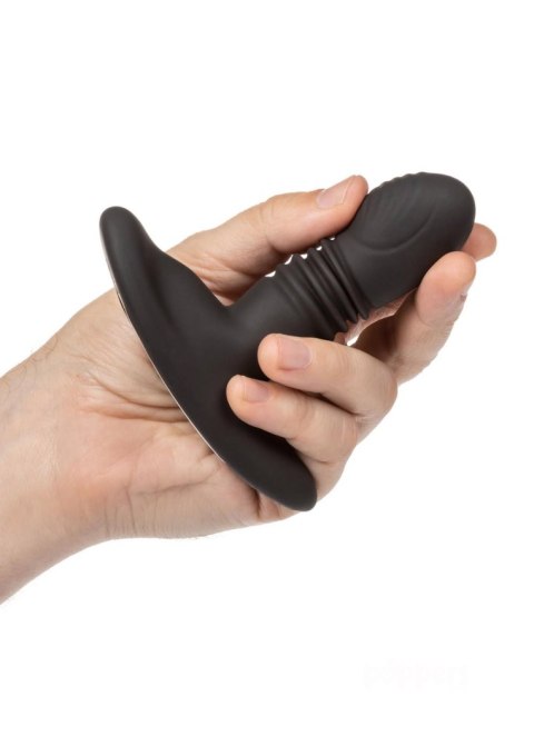 Calexotics Eclipse Thrusting Probe Black